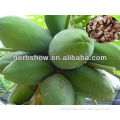 High quality papaya fruit seeds